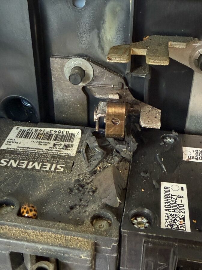 Close-up of a damaged circuit breaker with burnt and melted plastic debris, visible labels, and a ladybug on the lower left corner.
