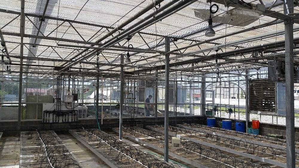Commercial Electrical Maintenance Guide for Businesses in Raleigh, Cary & Apex